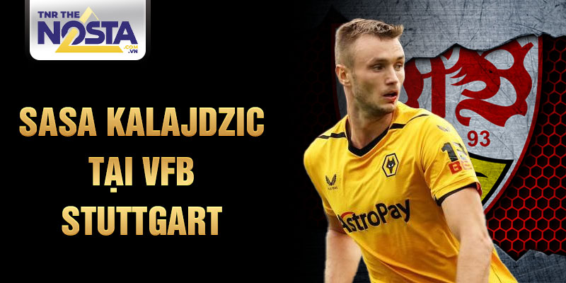 Sasa Kalajdzic tại VfB Stuttgart