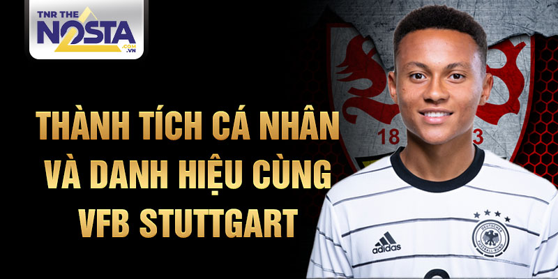 Thành tích cá nhân và danh hiệu cùng VfB Stuttgart