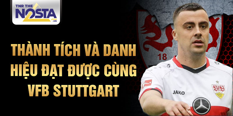 Thành tích và danh hiệu đạt được cùng VfB Stuttgart