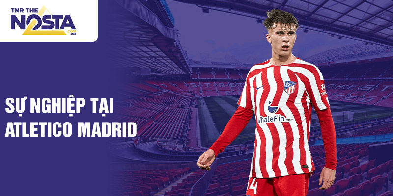 Sự nghiệp tại Atletico Madrid