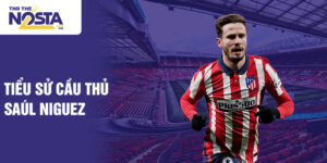 Tiểu sử cầu thủ saúl ñíguez