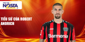 Tiểu sử của robert andrich