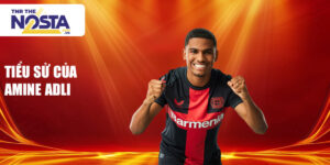Tiểu sử của amine adli