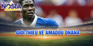 Giới thiệu về amadou onana
