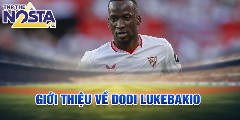 Giới thiệu về Dodi Lukebakio