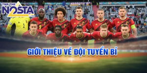 Giới thiệu về đội tuyển bỉ