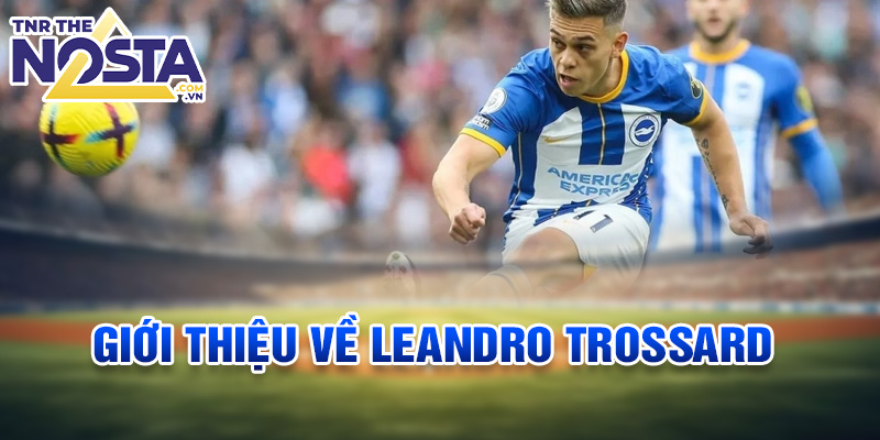 Giới thiệu về Leandro Trossard