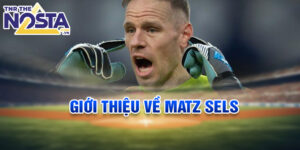 Giới thiệu về matz sels