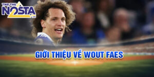 Giới thiệu về wout faes