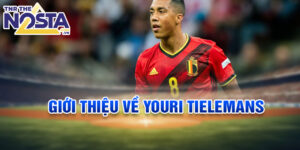 Giới thiệu về youri tielemans
