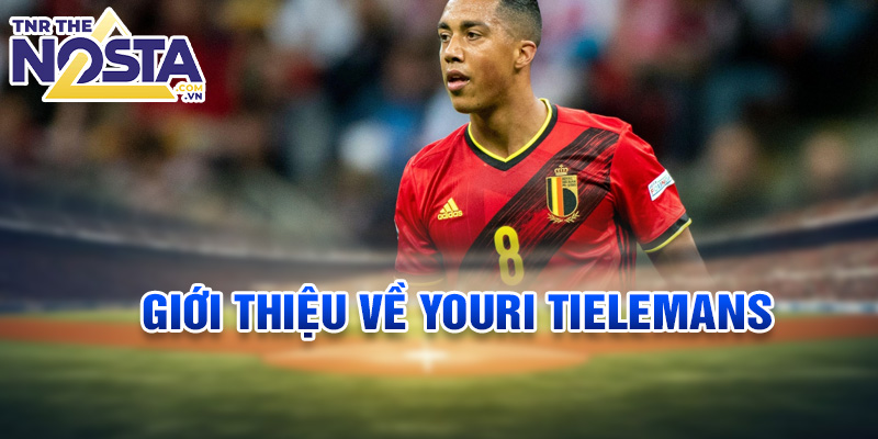 Giới thiệu về Youri Tielemans